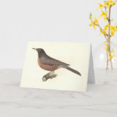 De Amerikaanse Robin (Turdus migratorius) NY Birds Kaart (Gele Bloem)