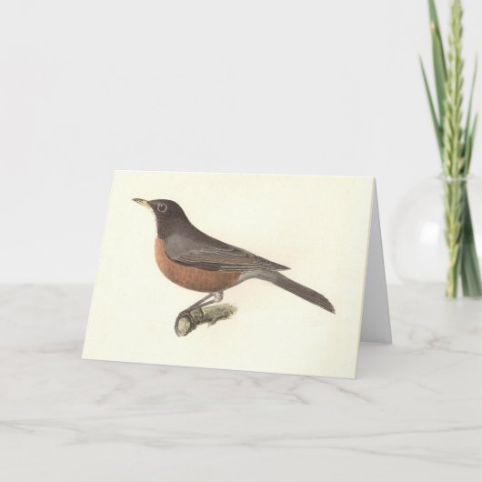 De Amerikaanse Robin (Turdus migratorius) NY Birds Kaart (Voorkant)