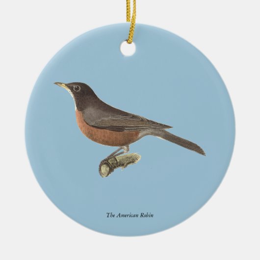 De Amerikaanse Robin (Turdus migratorius) NY Birds Keramisch Ornament (Voorkant)