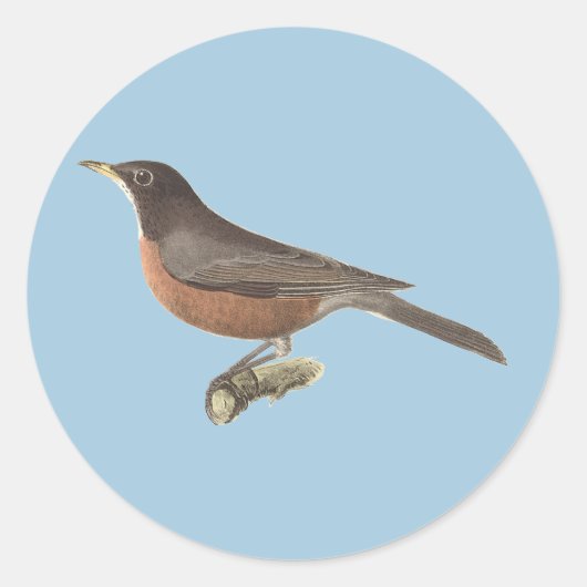 De Amerikaanse Robin (Turdus migratorius) NY Birds Ronde Sticker (Voorkant)