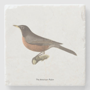 De Amerikaanse Robin (Turdus migratorius) NY Birds Stenen Onderzetter