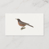 De Amerikaanse Robin (Turdus migratorius) NY Birds Visitekaartje (Achterkant)