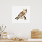 De Amerikaanse schuuruil (Strix pratincola) NY Bir Poster (Keuken)