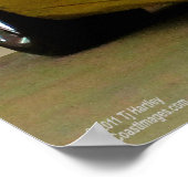 DE AMERIKAANSE SPORTSAUTO: CORVETTE POSTER (Hoek)