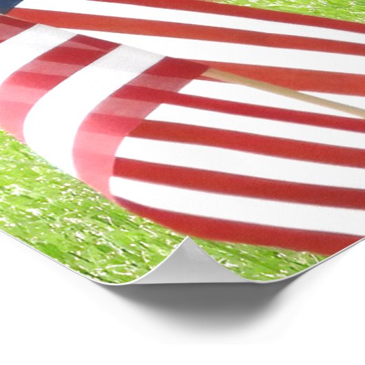 De Amerikaanse vogel wilde Tom Turkije Poster (Hoek)