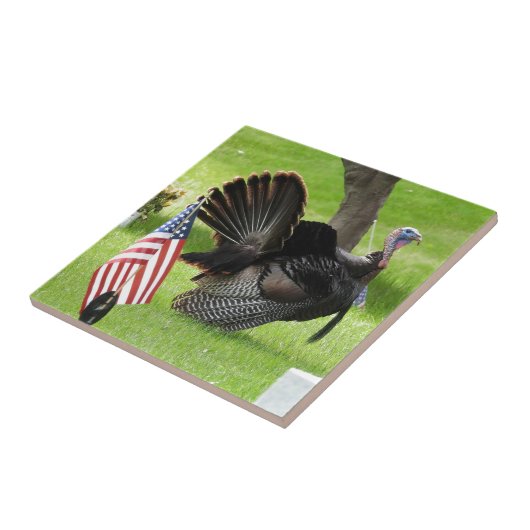 De Amerikaanse vogel wilde Tom Turkije Tegeltje (Zijkant)