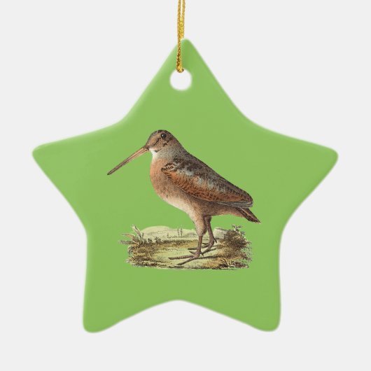 De Amerikaanse Woodcock (Rusticola minor) NY Bird Keramisch Ornament (Voorkant)