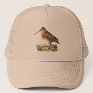 De Amerikaanse Woodcock (Rusticola minor) NY Bird Trucker Pet