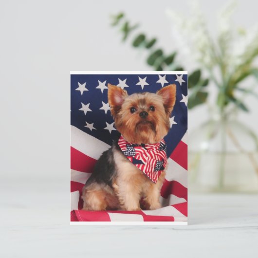 De Amerikaanse Yorkie Briefkaart (Staand voorkant)
