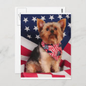 De Amerikaanse Yorkie Briefkaart (Voorkant / Achterkant)