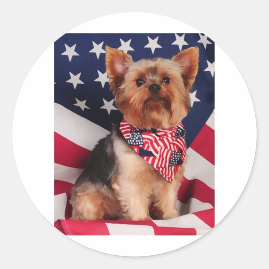 De Amerikaanse Yorkie Ronde Sticker (Voorkant)
