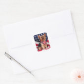 De Amerikaanse Yorkie Ronde Sticker (Envelop)