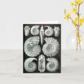 De Ammonieten van Ernst Haeckel Kaart (Gele Bloem)
