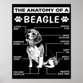 De anatomie | Beagle Dog | Funny dog Poster