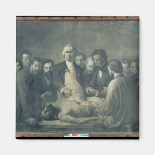 De anatomie les van Doctor Velpeau Magneet
