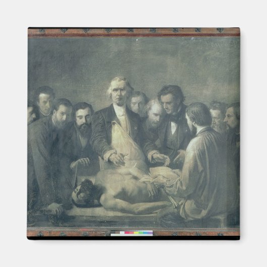 De anatomie les van Doctor Velpeau Magneet (Voorkant)