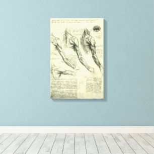 De anatomie van de arm en schouder van Leonardo da Canvas Afdruk