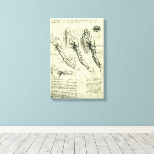De anatomie van de arm en schouder van Leonardo da Canvas Afdruk (Insitu (Houten vloer))