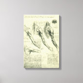 De anatomie van de arm en schouder van Leonardo da Canvas Afdruk (Voorkant)