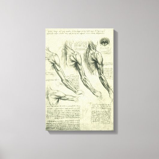 De anatomie van de arm en schouder van Leonardo da Canvas Afdruk (Voorkant)