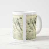 De anatomie van de arm en schouder van Leonardo da Grote Koffiekop (Voorkant rechts)