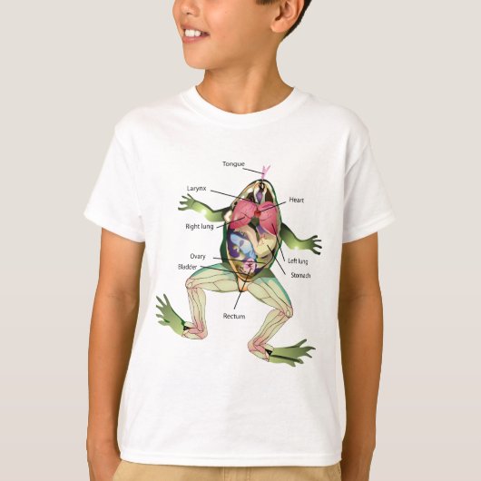 De Anatomie van de Kikker Illustratie Tekening T-shirt (Voorkant)