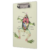 De anatomie van de kikker is gepersonaliseerd klembord (Links)