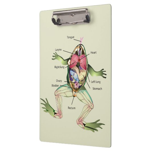 De anatomie van de kikker is gepersonaliseerd klembord (Links)