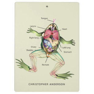 De anatomie van de kikker is gepersonaliseerd klembord