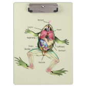 De anatomie van de kikker is gepersonaliseerd klembord (Voorkant)