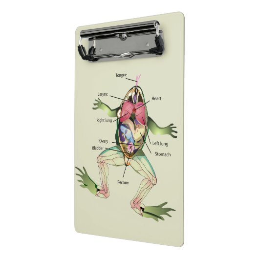 De anatomie van de kikker is gepersonaliseerd mini klembord (Angled2)