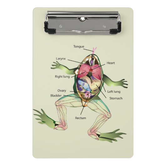 De anatomie van de kikker is gepersonaliseerd mini klembord (Voorkant)