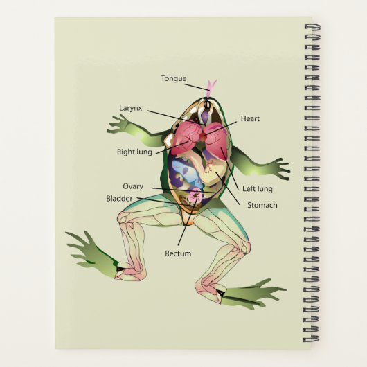 De anatomie van de kikker is gepersonaliseerd planner (Achterkant)