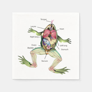 De anatomie van de kikker servet