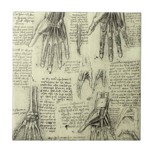 De anatomie van de menselijke hand door Leonardo d Tegeltje