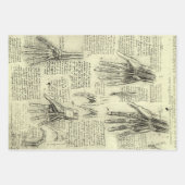 De anatomie van de menselijke hand van Leonardo da Inpakpapier Vel (Voorkant)