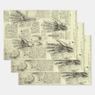 De anatomie van de menselijke hand van Leonardo da Inpakpapier Vel