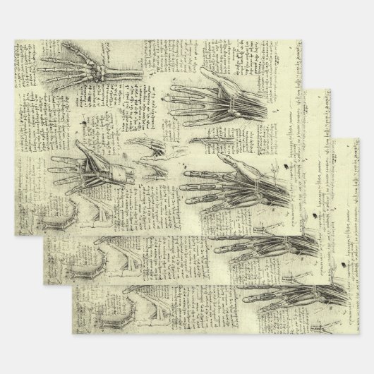 De anatomie van de menselijke hand van Leonardo da Inpakpapier Vel (Set)