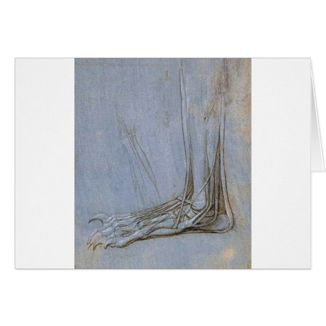 De anatomie van een beren voet (Voorkant Horizontaal)