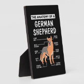 De anatomie van een Duitse herder Fotoplaat (Zijkant)