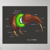 De Anatomie van een Kiwi Poster (Voorkant)