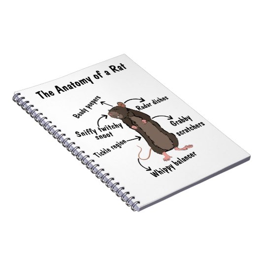 De anatomie van een rat notitieboek (Rechterzijde)