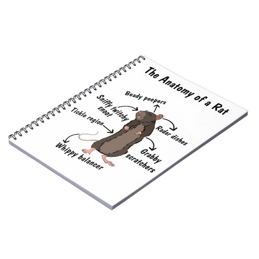 De anatomie van een rat notitieboek (Linkerzijde)