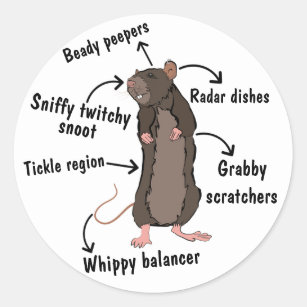 De anatomie van een rat ronde sticker