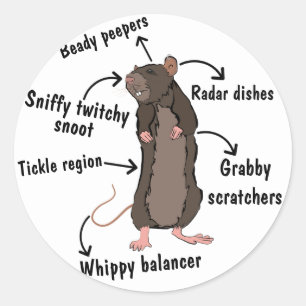 De anatomie van een rat ronde sticker
