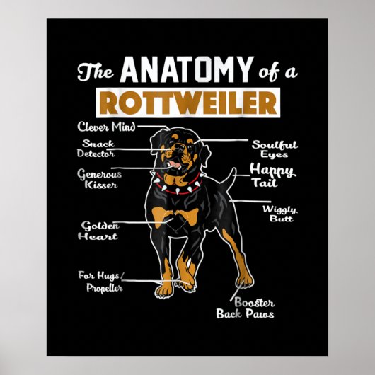 De anatomie van een rottweiler | Koel Hondenliefhe Poster (Voorkant)