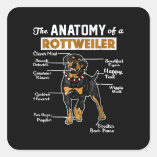 De anatomie van een rottweiler   Koel Hondenliefhe Vierkante Sticker