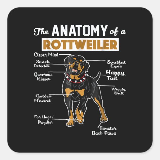 De anatomie van een rottweiler | Koel Hondenliefhe Vierkante Sticker (Voorkant)