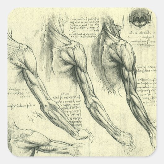 De anatomie van Leonardo da Vinci van arm en schou Vierkante Sticker (Voorkant)