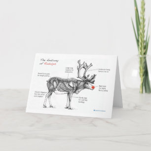 De anatomie van Rudolph Christmas Kaart